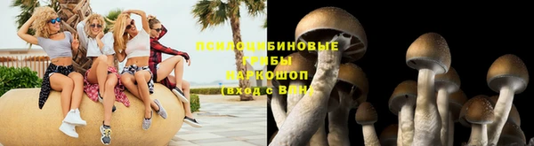 ешки Абинск