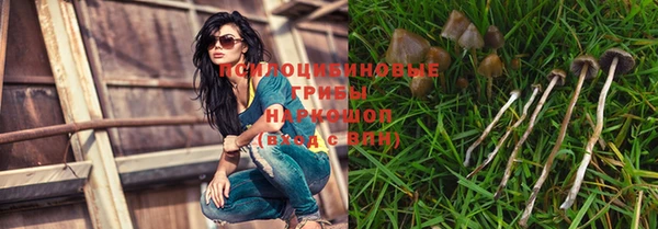 стафф Абдулино