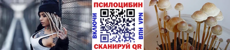 Галлюциногенные грибы MAGIC MUSHROOMS  Северодвинск 