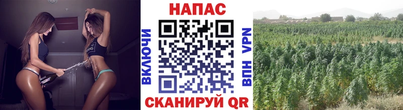 кракен как зайти Северодвинск Каннабис MAZAR